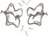 When a couple is sexually excited they may kiss and touch each other It feels - фото 172