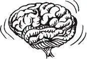 Besides these brain centers that are changing scientists have also identified - фото 78