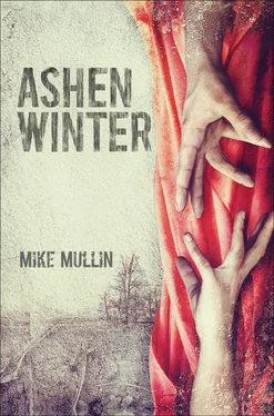 Mike Mullin Ashen Winter обложка книги