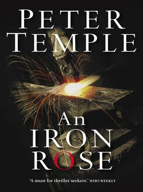 Peter Temple An Iron Rose обложка книги