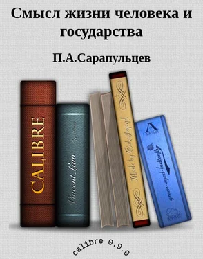 П.А.Сарапульцев Смысл жизни человека и государства обложка книги