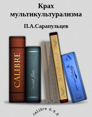 П.А.Сарапульцев Крах мультикультурализма обложка книги