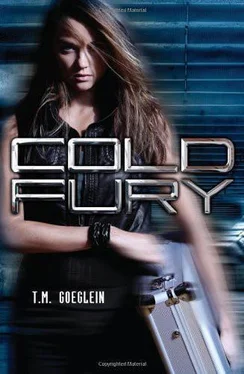 T. Goeglein Cold Fury обложка книги