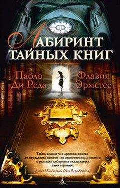 Паоло Ди Реда Лабиринт тайных книг обложка книги