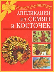 Наталия Дубровская - Аппликации из семян и косточек