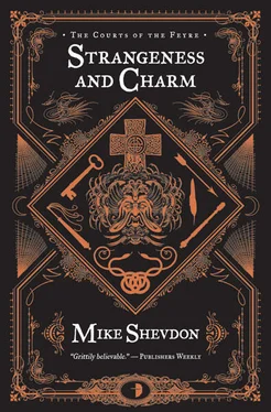 Mike Shevdon Strangeness and Charm обложка книги