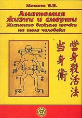 Валерий Момот - Анатомия жизни и смерти. Жизненно важные точки на теле человека