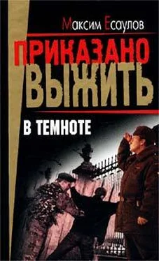Максим Есаулов В темноте (сборник) обложка книги