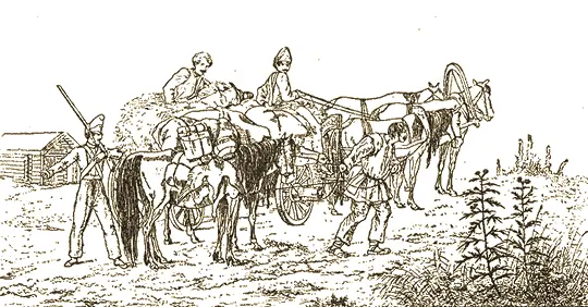 Реквизиция 29 июня 1812 г рис Фабер дюФора 8 августа витебский - фото 79