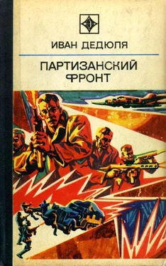 Иван Дедюля Партизанский фронт обложка книги