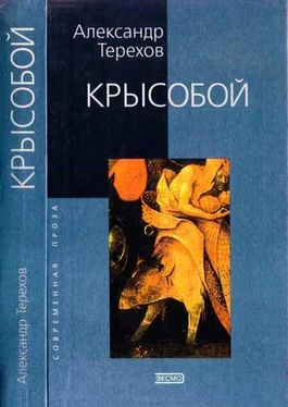 Александр Терехов Крысобой. Мемуары срочной службы обложка книги