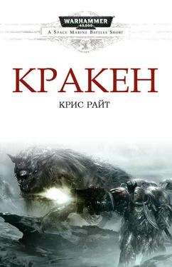 Крис Райт Кракен обложка книги