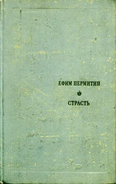 Ефим Пермитин Страсть обложка книги