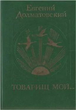 Евгений Долматовский Товарищ мой обложка книги