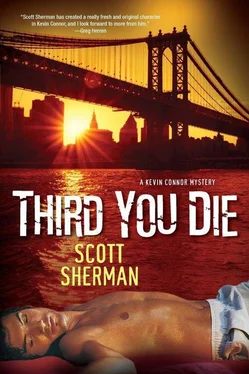 Scott Sherman Third You Die обложка книги