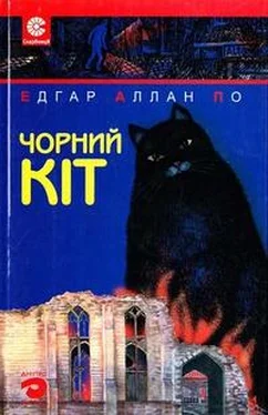 Едгар По Чорний кіт обложка книги