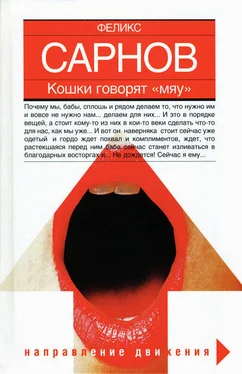 Феликс Сарнов Кошки говорят Мяу обложка книги