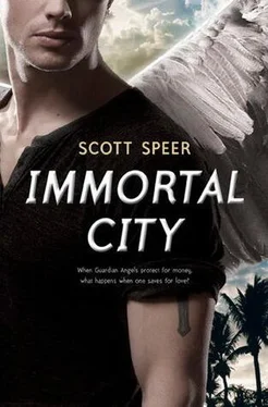 Scott Speer Immortal City обложка книги