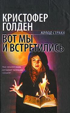 Кристофер Голден Вот мы и встретились обложка книги