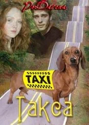 Дарья Волкова - Такса