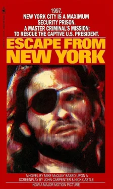 Mike McQuay Escape From New York обложка книги