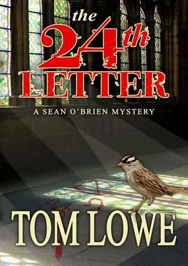 Tom Lowe The 24th Letter обложка книги