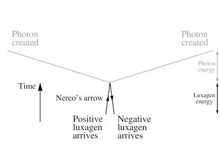 The length of each line is the mass of the particle and its height is the - фото 21