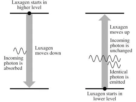 The two processes push the luxagens in opposite directions and all things - фото 24