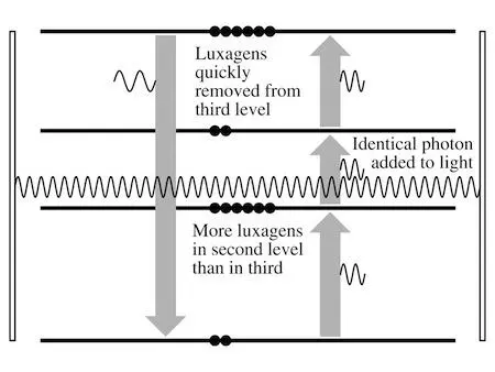 Each time the light is reflected back through the solid it will prompt more - фото 26