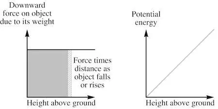 If you plot the downward force on the book against its height above the - фото 1