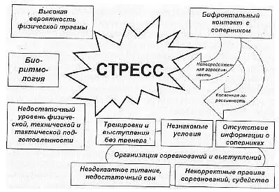 Рис 1 Основные стрессоры в спортивнобоевых единоборствах Американский - фото 7