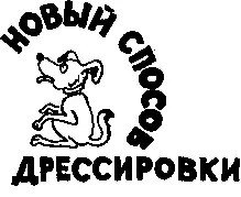 В ЮДП Володьку и Таира не принимали Там Юрка Салахов всем заправлял Он у этих - фото 1