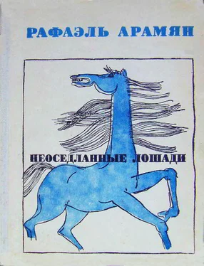 Рафаэль Арамян Неоседланные лошади [Сборник рассказов] обложка книги