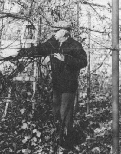 Работа в саду великий источник творческого вдохновения 1983 г С любимым - фото 49