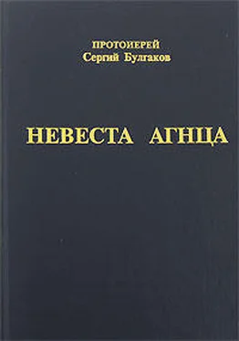 Сергей Булгаков Невеста Агнца обложка книги