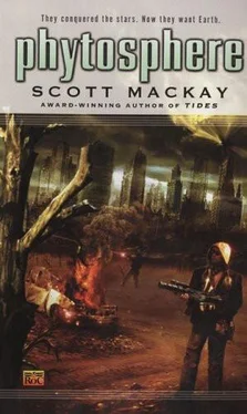 Scott Mackay Phytosphere обложка книги