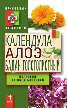 Ю. Николаева Календула, алоэ и бадан толстолистный — целители от всех болезней обложка книги