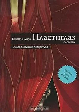 Вадим Чекунов Пластиглаз обложка книги
