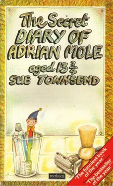 Sue Townsend The Secret Diary of Adrian Mole, Aged 13 3⁄4 обложка книги