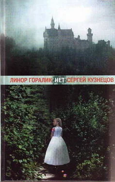 Линор Горалик Нет обложка книги