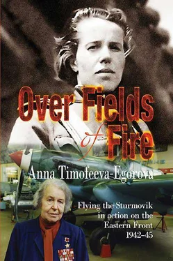 Anna Timofeeva-Egorova Over Fields of Fire обложка книги