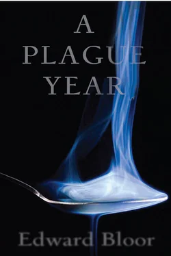 Edward Bloor A Plague Year обложка книги