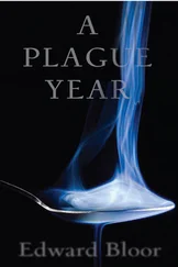 Edward Bloor - A Plague Year