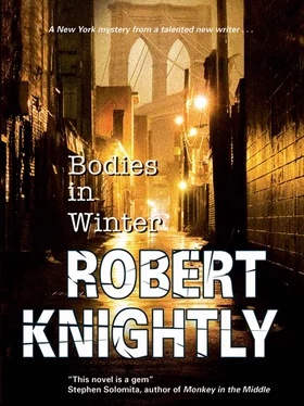 Robert Knightly Bodies in Winter обложка книги