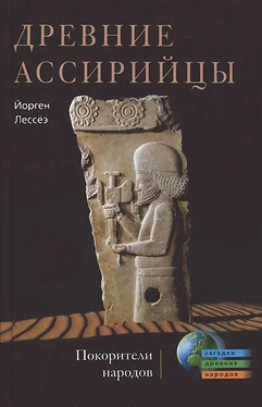 Йорген Лессеэ Древние ассирийцы. Покорители народов обложка книги