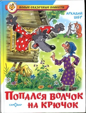 Аркадий Шер Попался волчок на крючок [рисунки автора] обложка книги