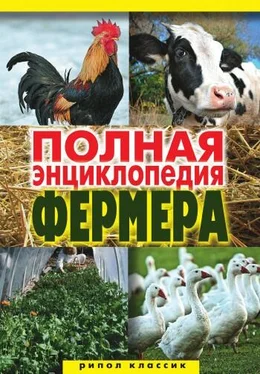 Алексей Гаврилов Полная энциклопедия фермера
