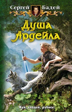 Сергей Бадей Душа Ардейла обложка книги