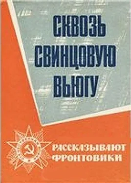 Николай Пустынцев Сквозь свинцовую вьюгу обложка книги