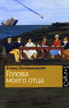 Елена Бочоришвили Голова моего отца обложка книги